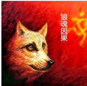 狼魂因果
