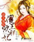 穿越奇幻：逆天鬼醫(yī)傻王戲邪妃