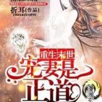 末世重生之愛妻是正道