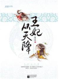 王妃從天降