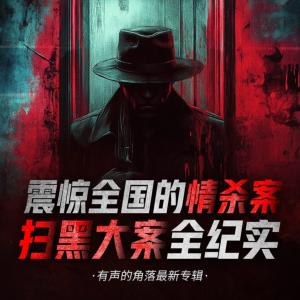 震驚全國的情殺案掃黑大案全紀實