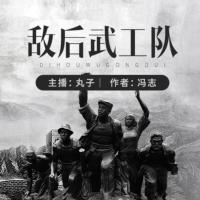 敵后武工隊