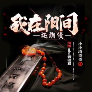 我在陽間還陰債