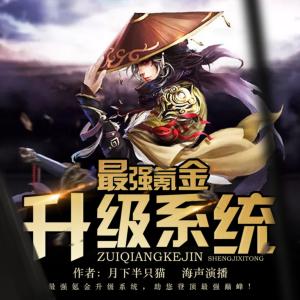 最強氪金升級系統