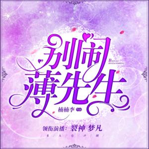 別鬧，薄先生