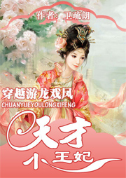 穿越游龍戲鳳：天才小王妃