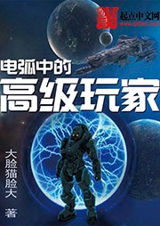 電弧中的高級玩家