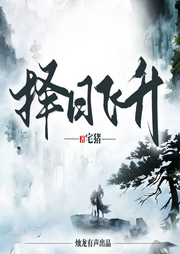 擇日飛升
