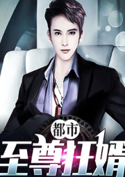 都市至尊狂婿