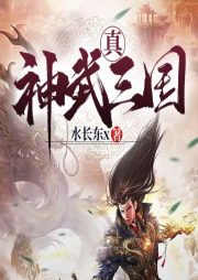 真神武三國