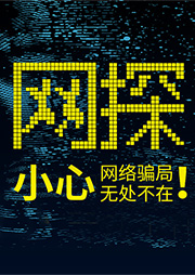 網探