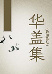 華蓋集