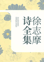 徐志摩詩全集