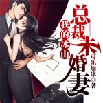 我的冰山總裁未婚妻