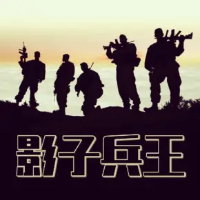 影子兵王()