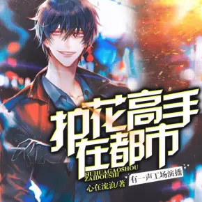 護花高手在都市（VIP快更版）