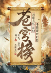 蒼穹榜之圣靈紀
