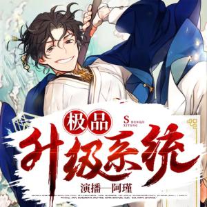 極品升級系統
