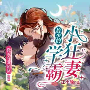 戰少的學霸小狂妻
