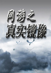 網游之真實鏡像