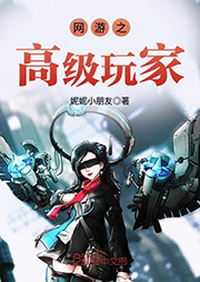 網游之高級玩家