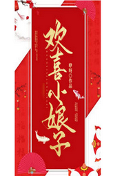 歡喜小娘子