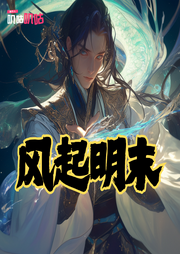 風(fēng)起明末